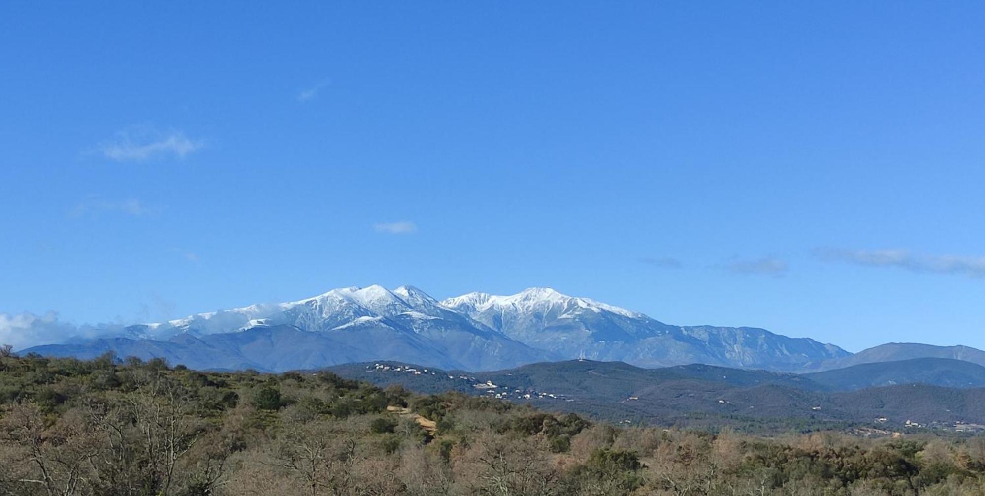 Appartement Moderne, Mer A 50M Le Barcarès Esterno foto